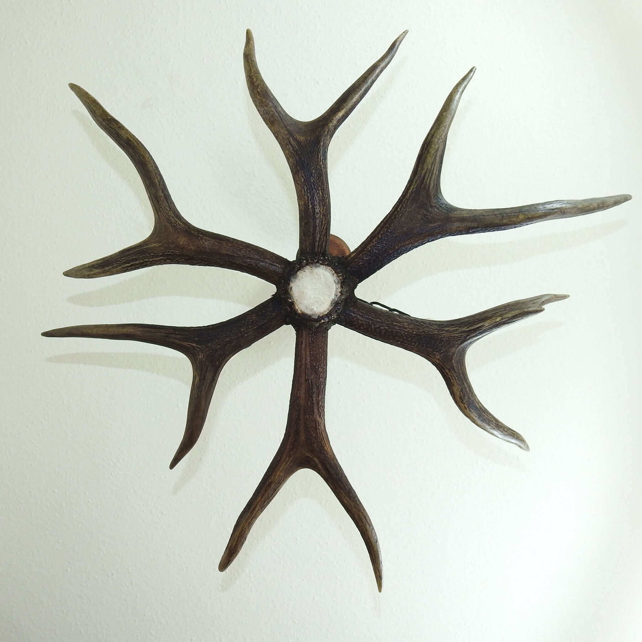 Red deer antler chandelier, view from the bottom.