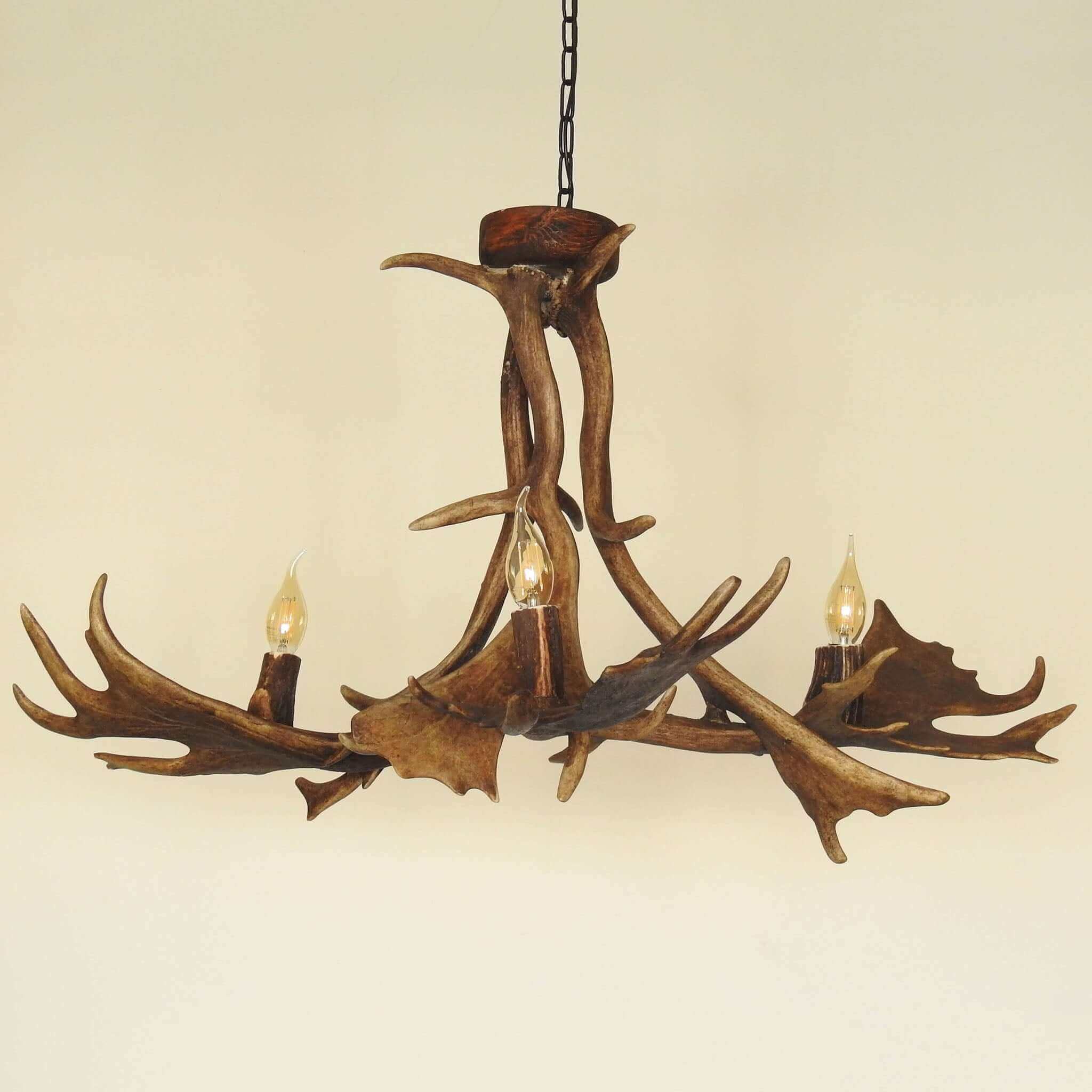 Real antler chandelier made of fallow deer antlers.