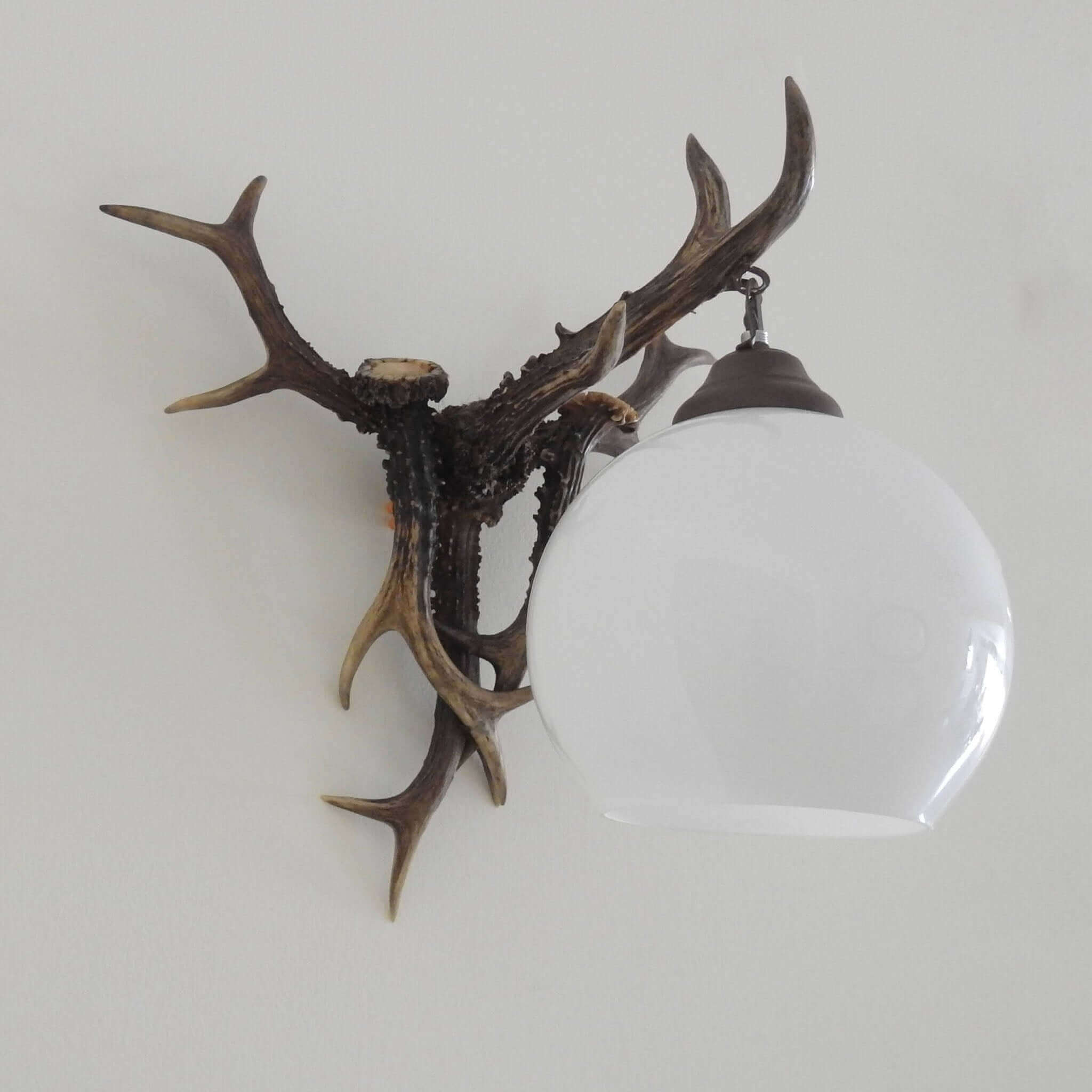 Small antler sconce.