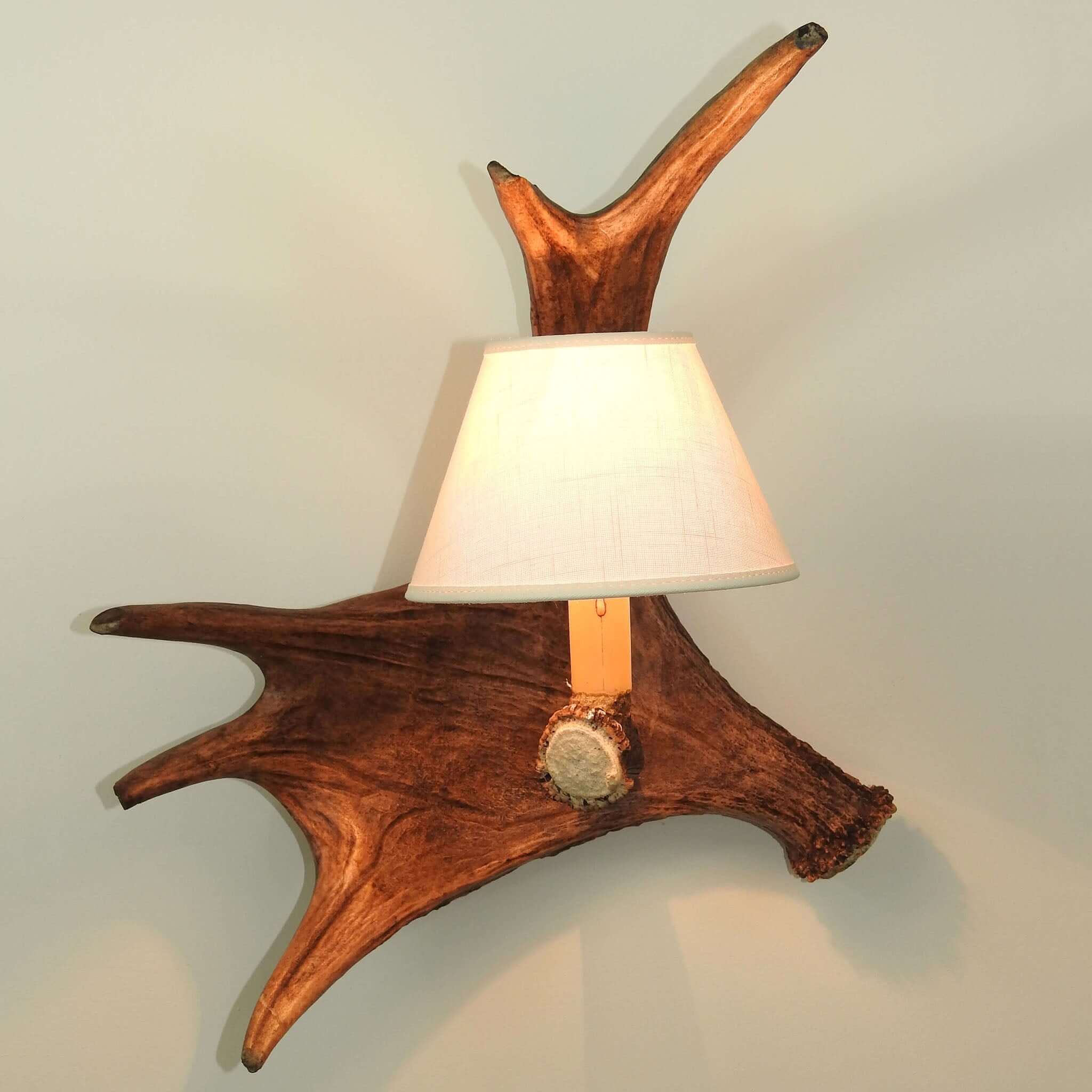 Real antler wall sconce.