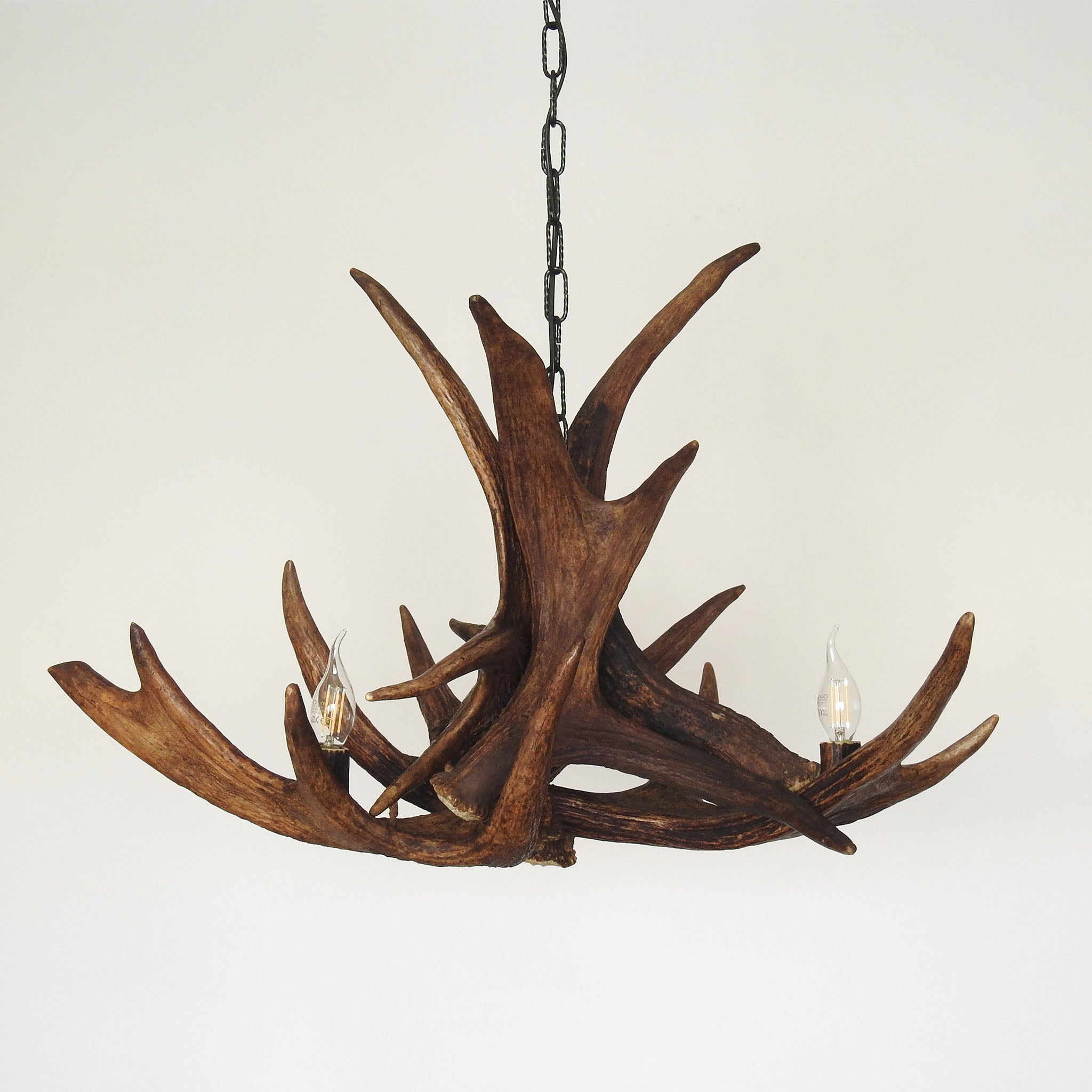 Elk antler chandelier for 3 lights.