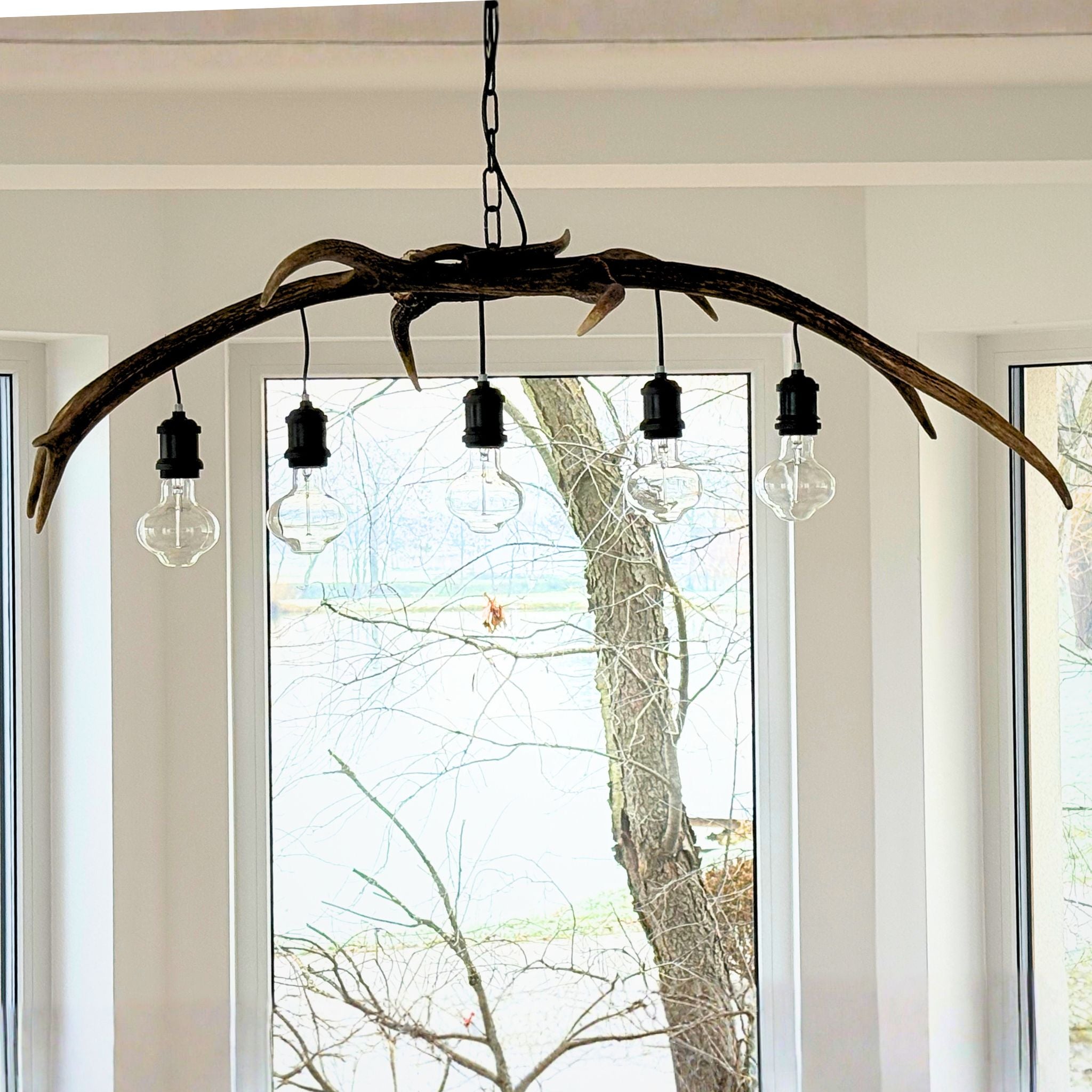 A rustic antler-style chandelier with five clear glass bulb shades hanging from a curved branch structure, shown in a real interior setting with a large window behind it.