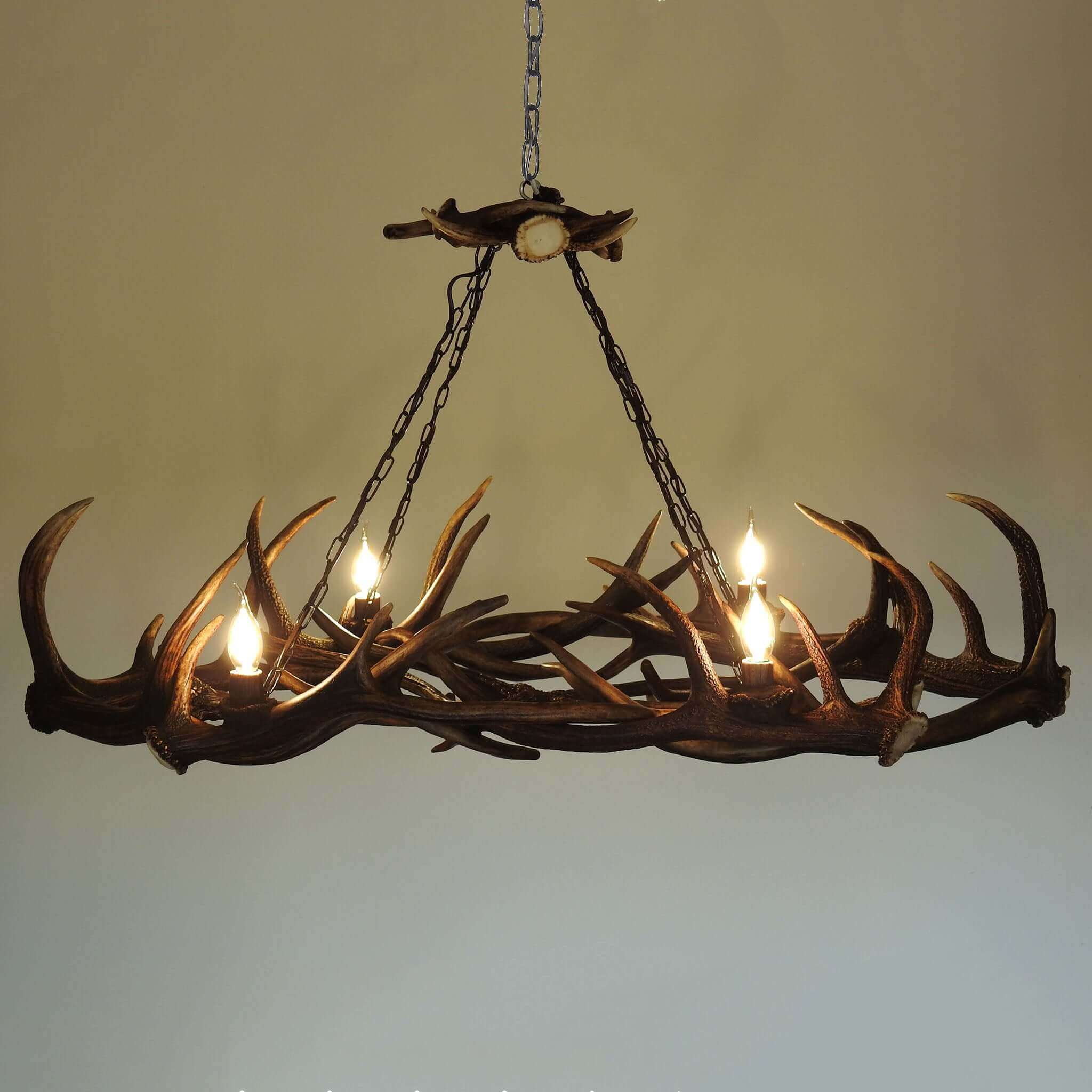 Antler chandelier hanging on chain.