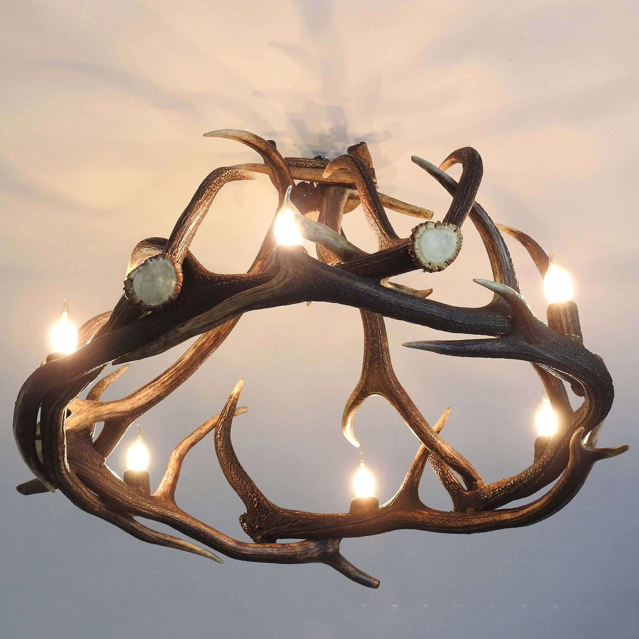 6-light antler chandelier.