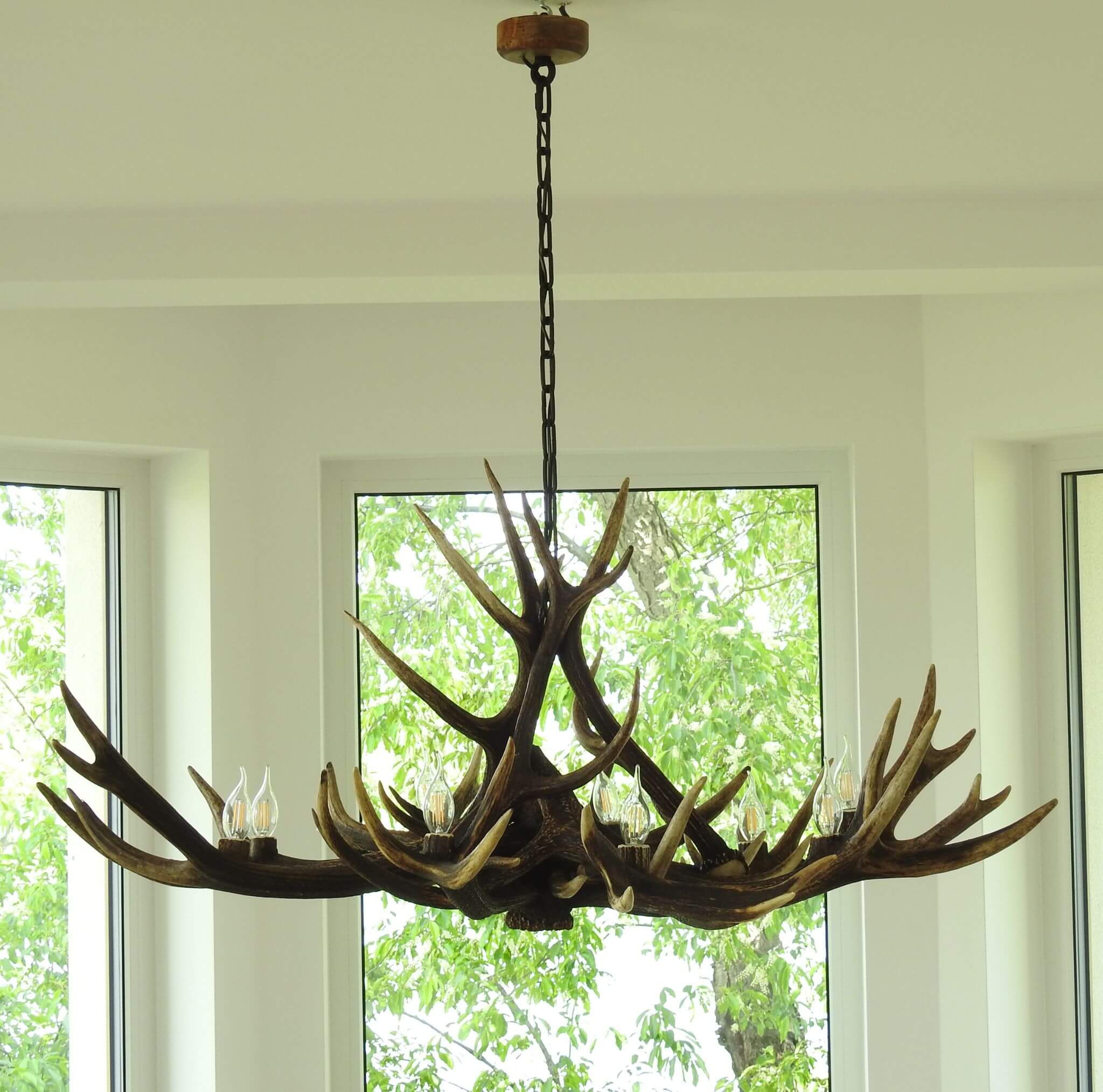 Antler chandelier hanging in a room with large windows showing greenery outside.
