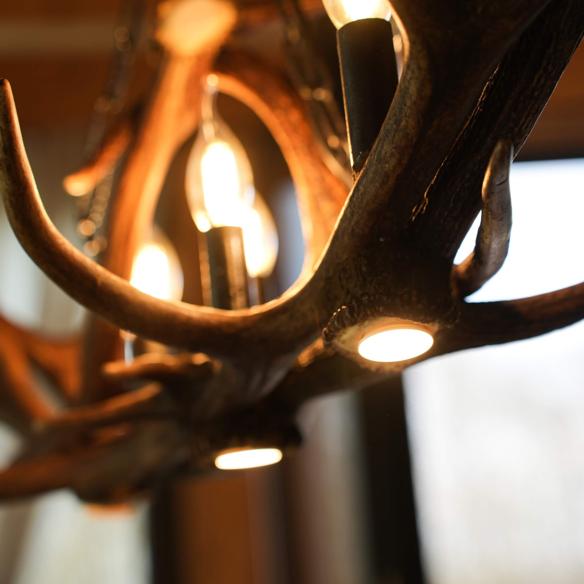 Details of downlights of antler chandelier.