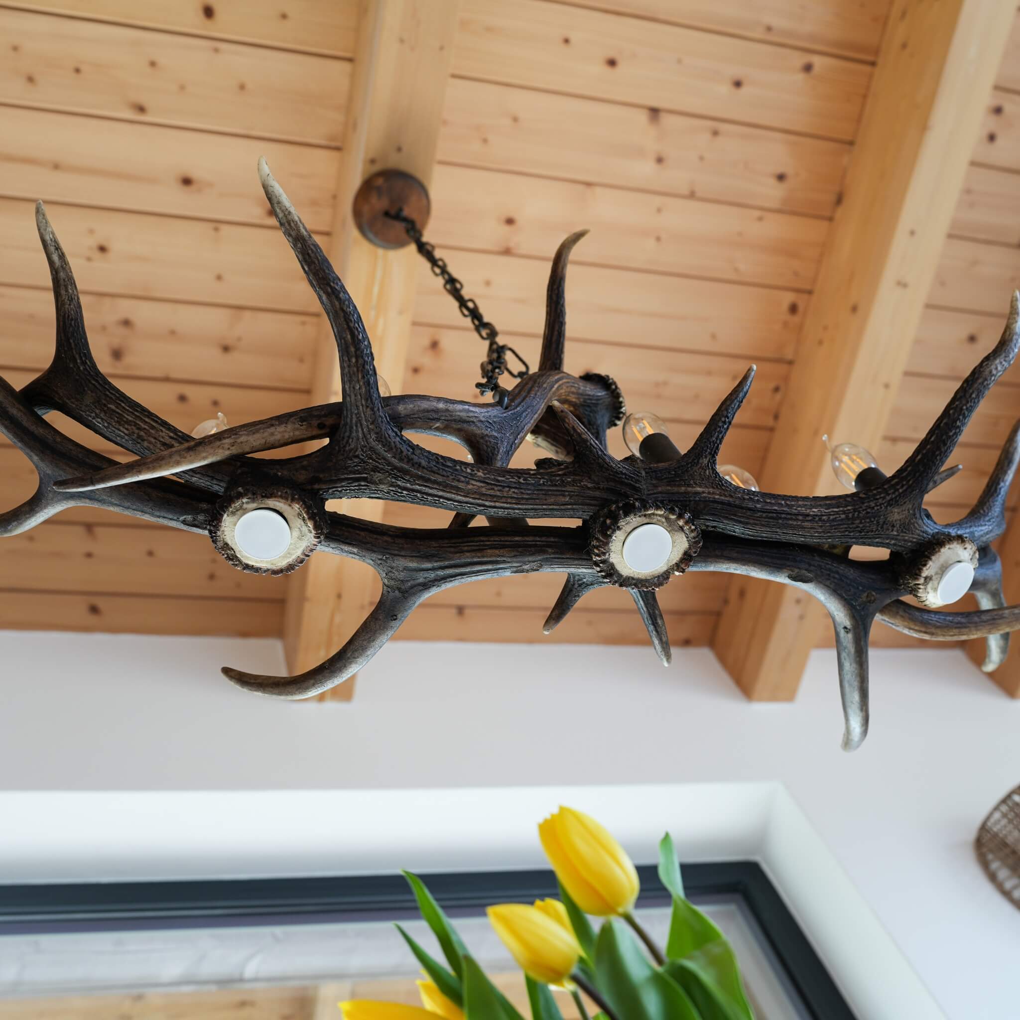 Antler chandelier, view from the bottom.