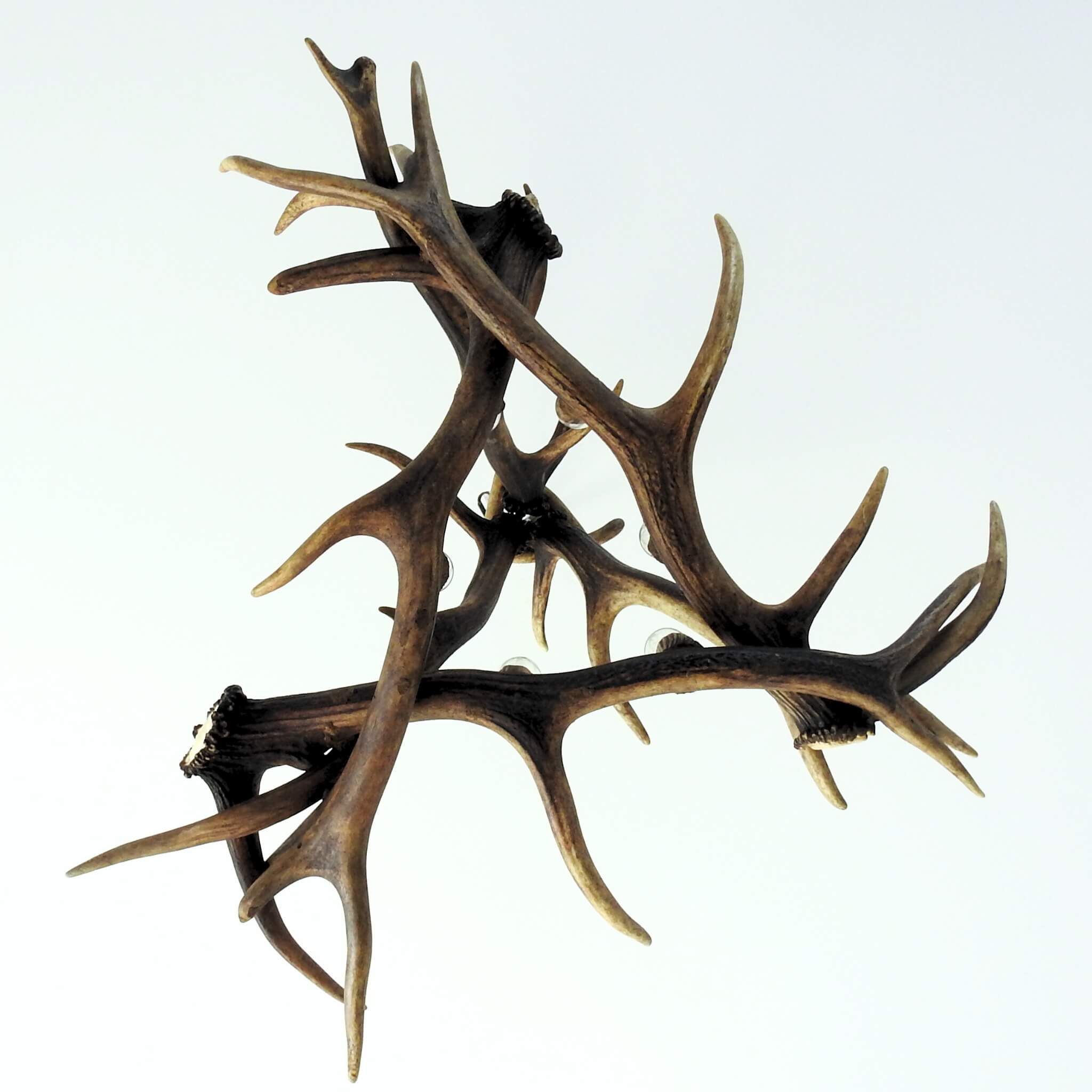 Modern antler chandeleir for rustic cabin, view from the bottom.