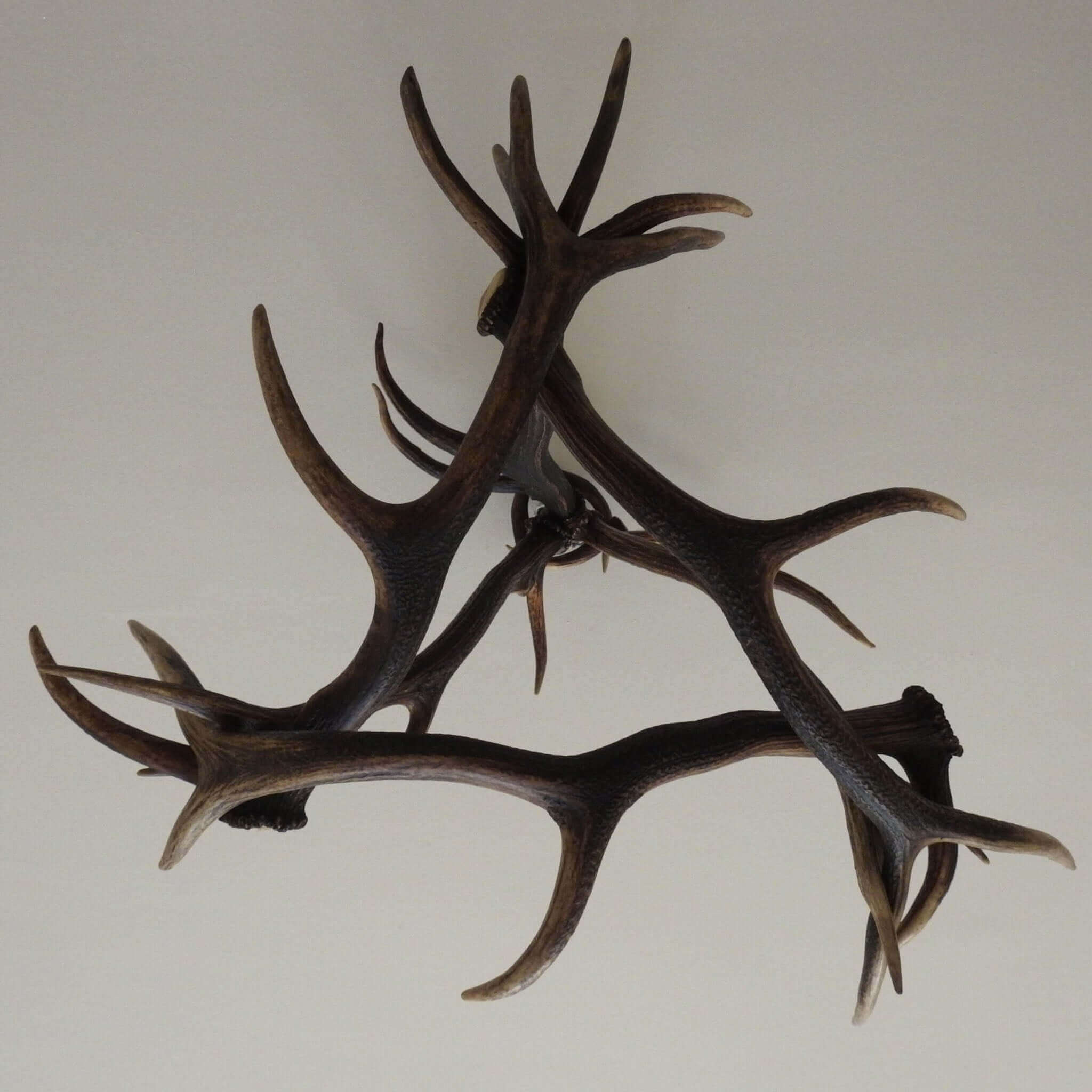 Triangle shape, real antler chandelier made of red deer antlers. View from the bottom.