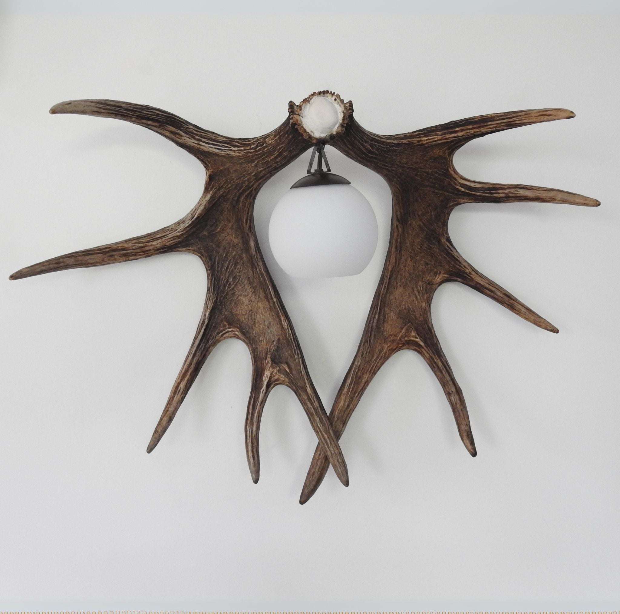 Moose antler sconce