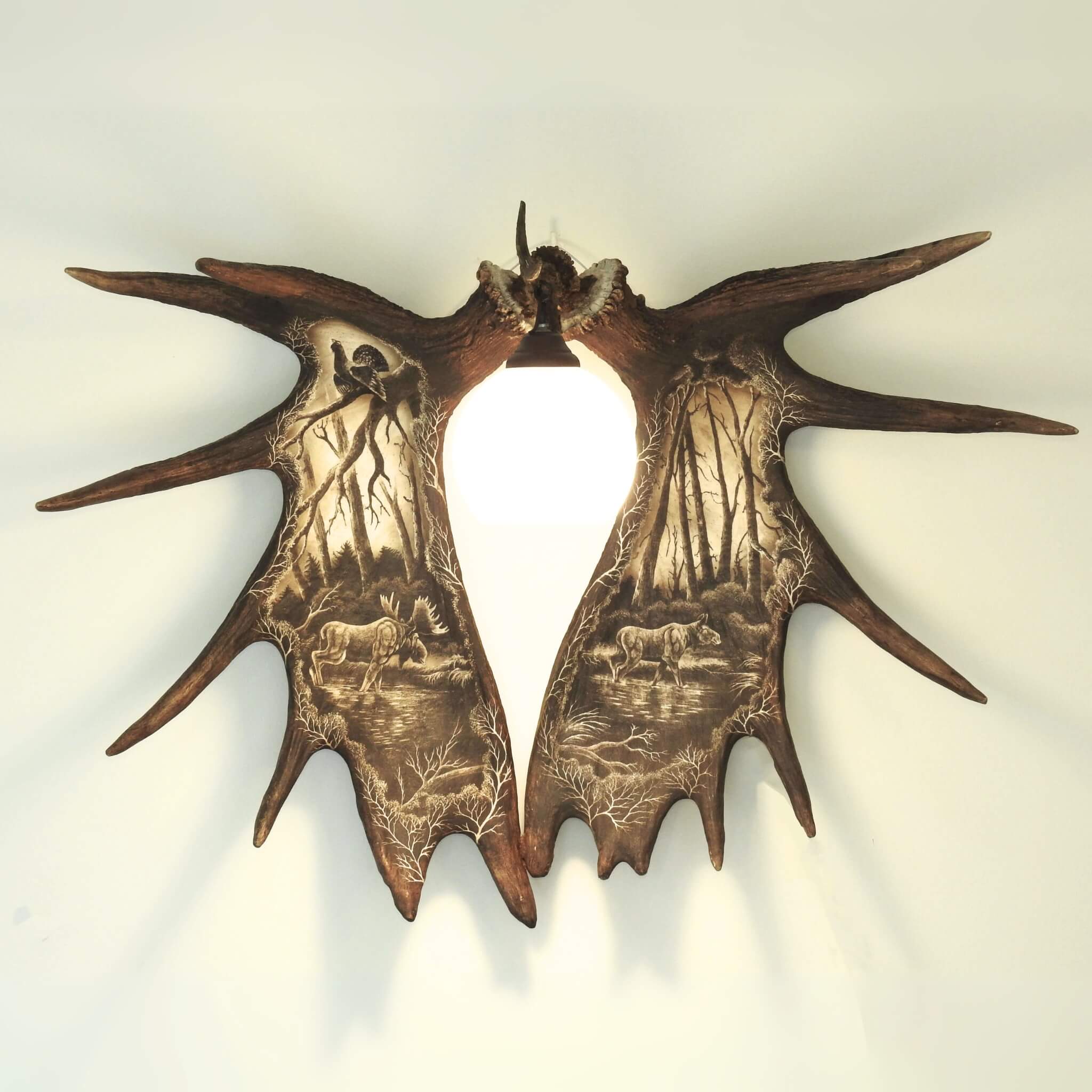 Real moose antler sconce with carvings.