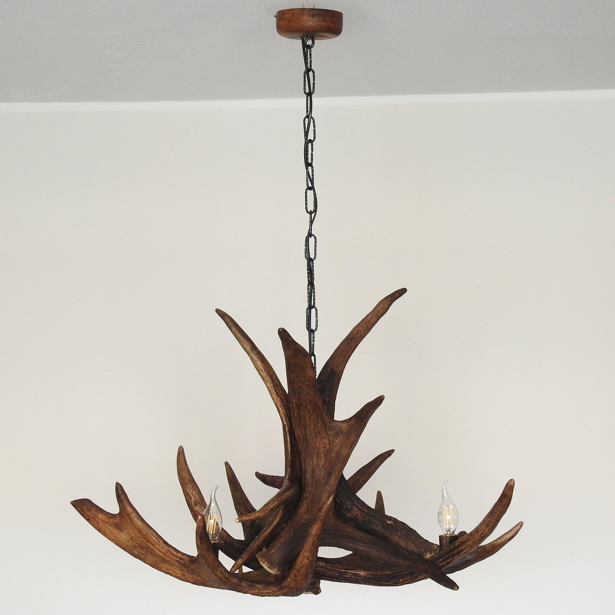 Real moose antler chandelier changing on chain.