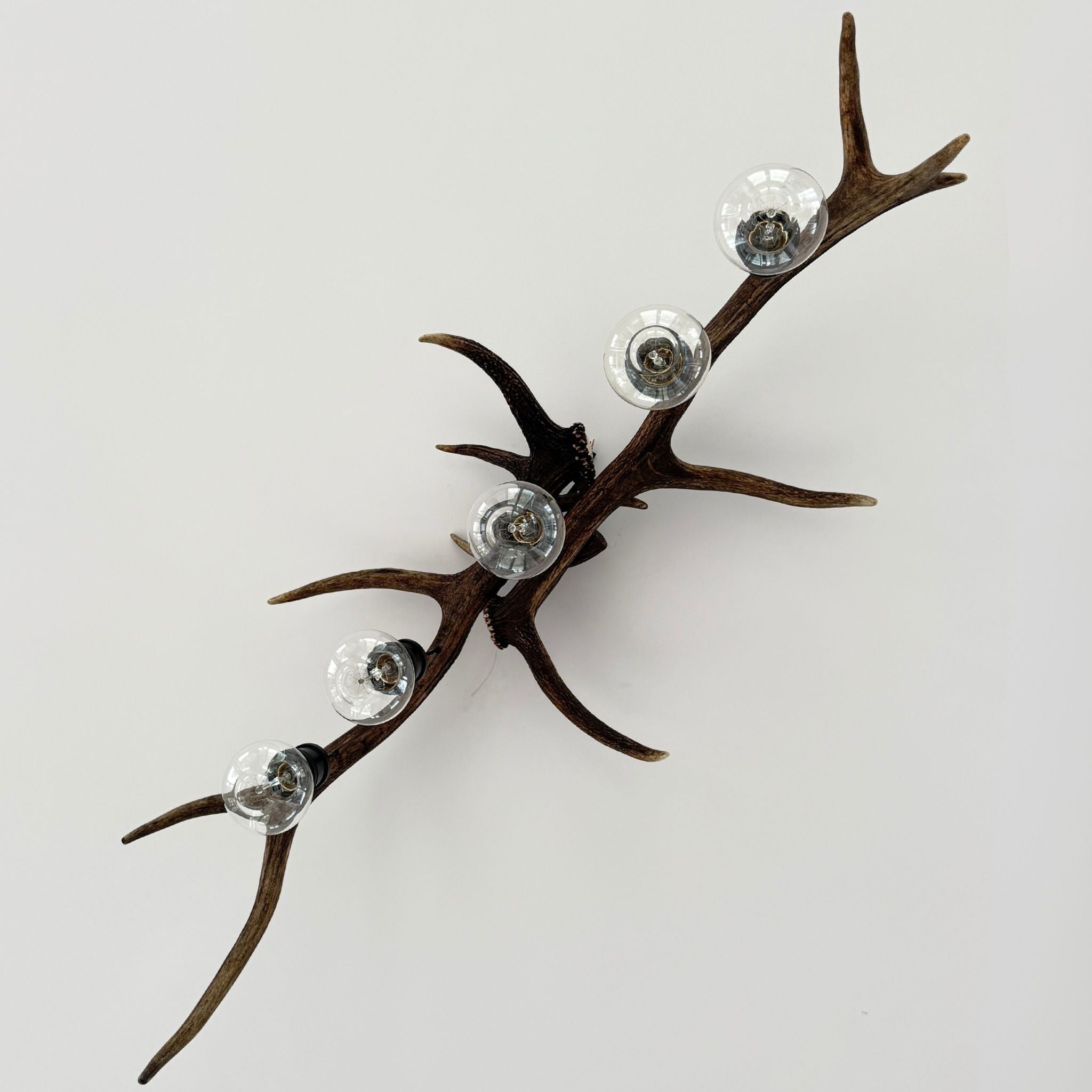 A decorative wall-mounted antler branch with four clear round glass globes attached at different points, photographed against a plain light background.