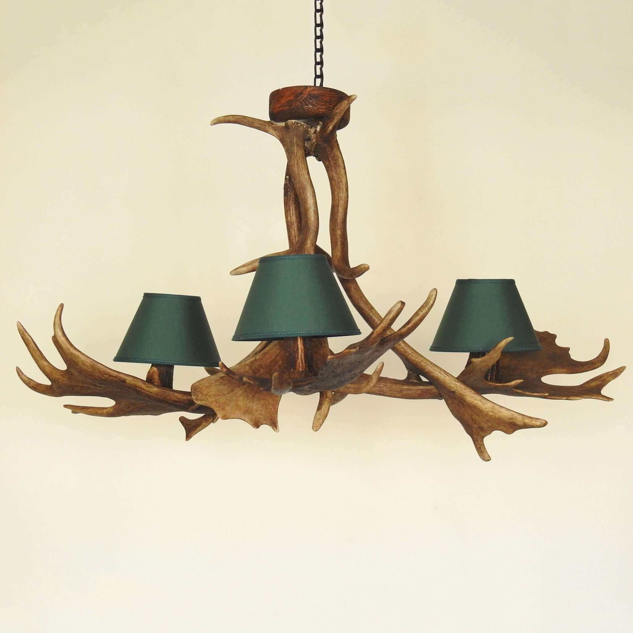 Fallow deer antler chandelier.