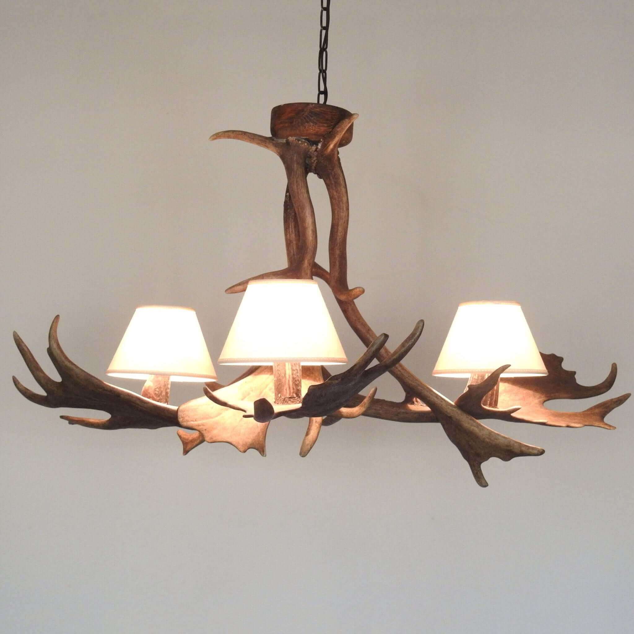Rustic antler chandelier made of fallow deer antlers.