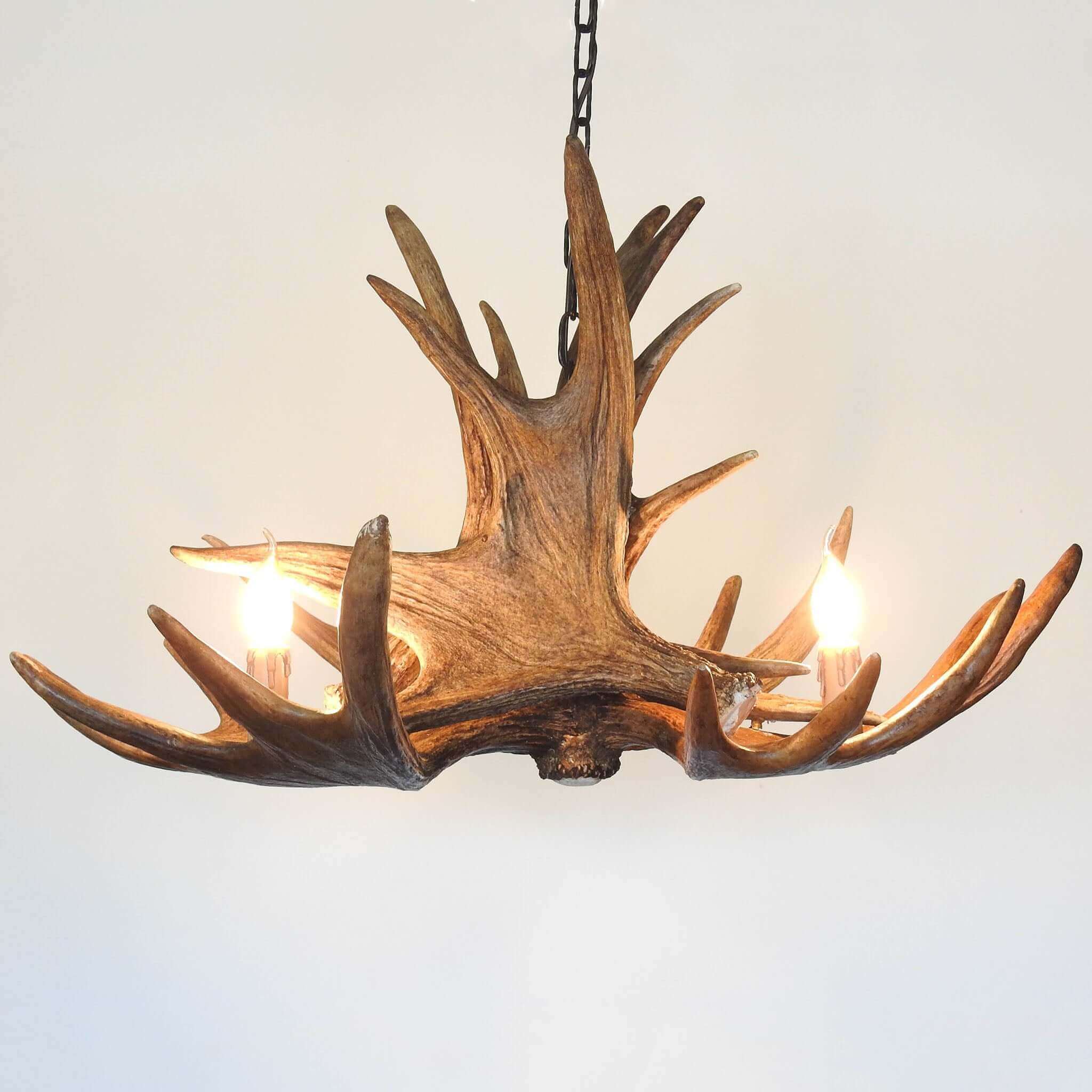 Rustic antler chandelier for 3 lights.