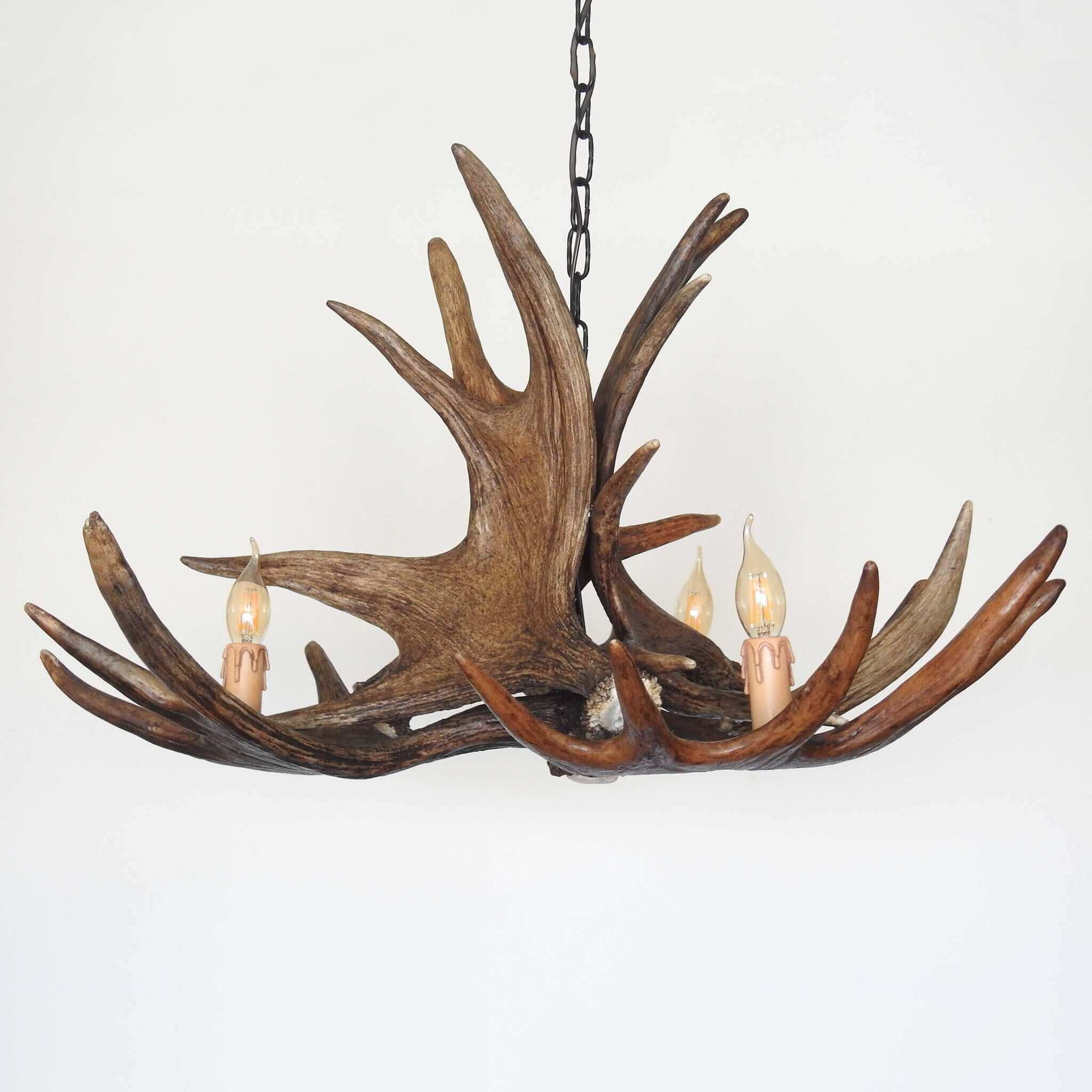 Real, large antler chandelier made of moose antlers.