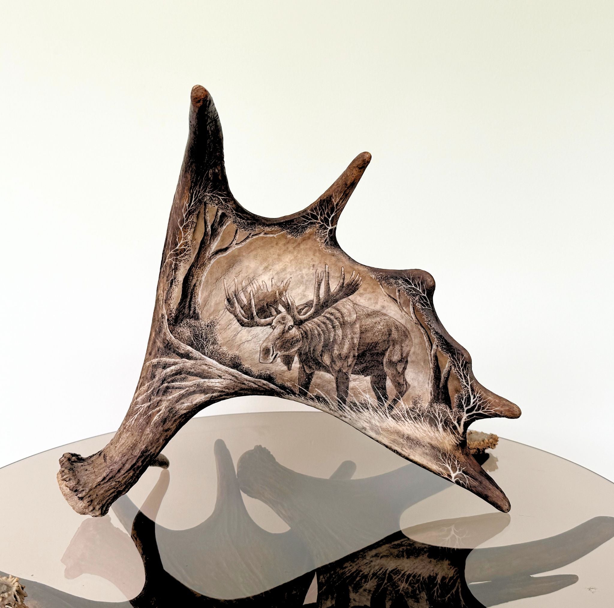 A carved natural moose antler sculpture with a detailed moose and forest design, displayed on a reflective surface against a light gradient background.
