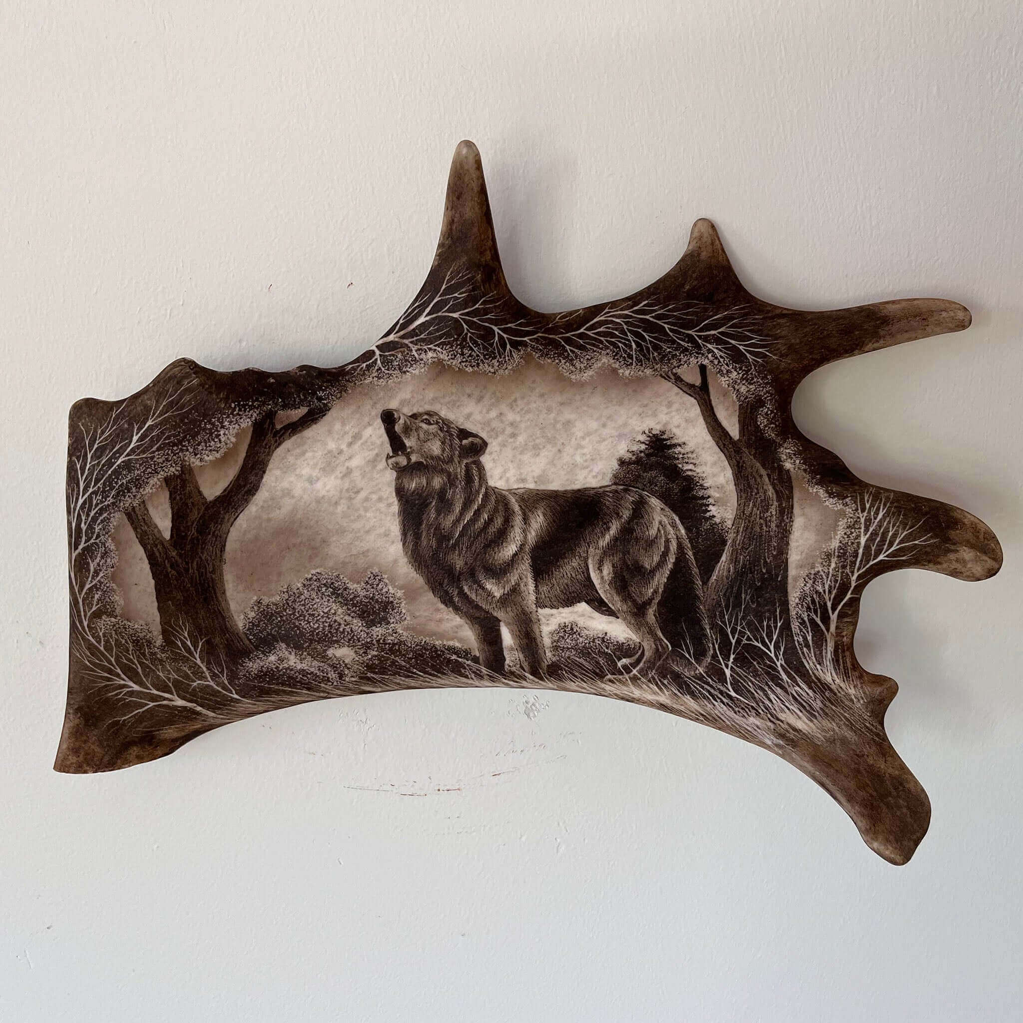 13 antler products