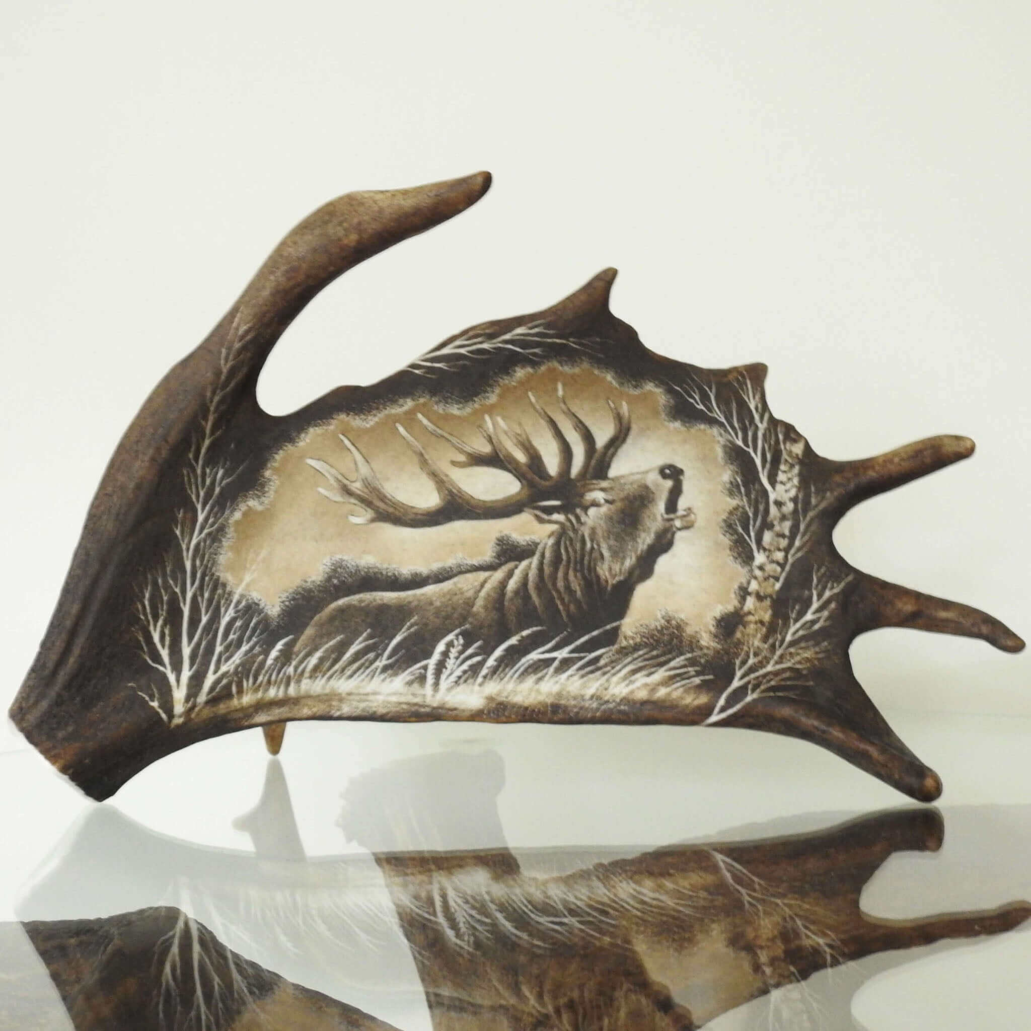 13 antler products
