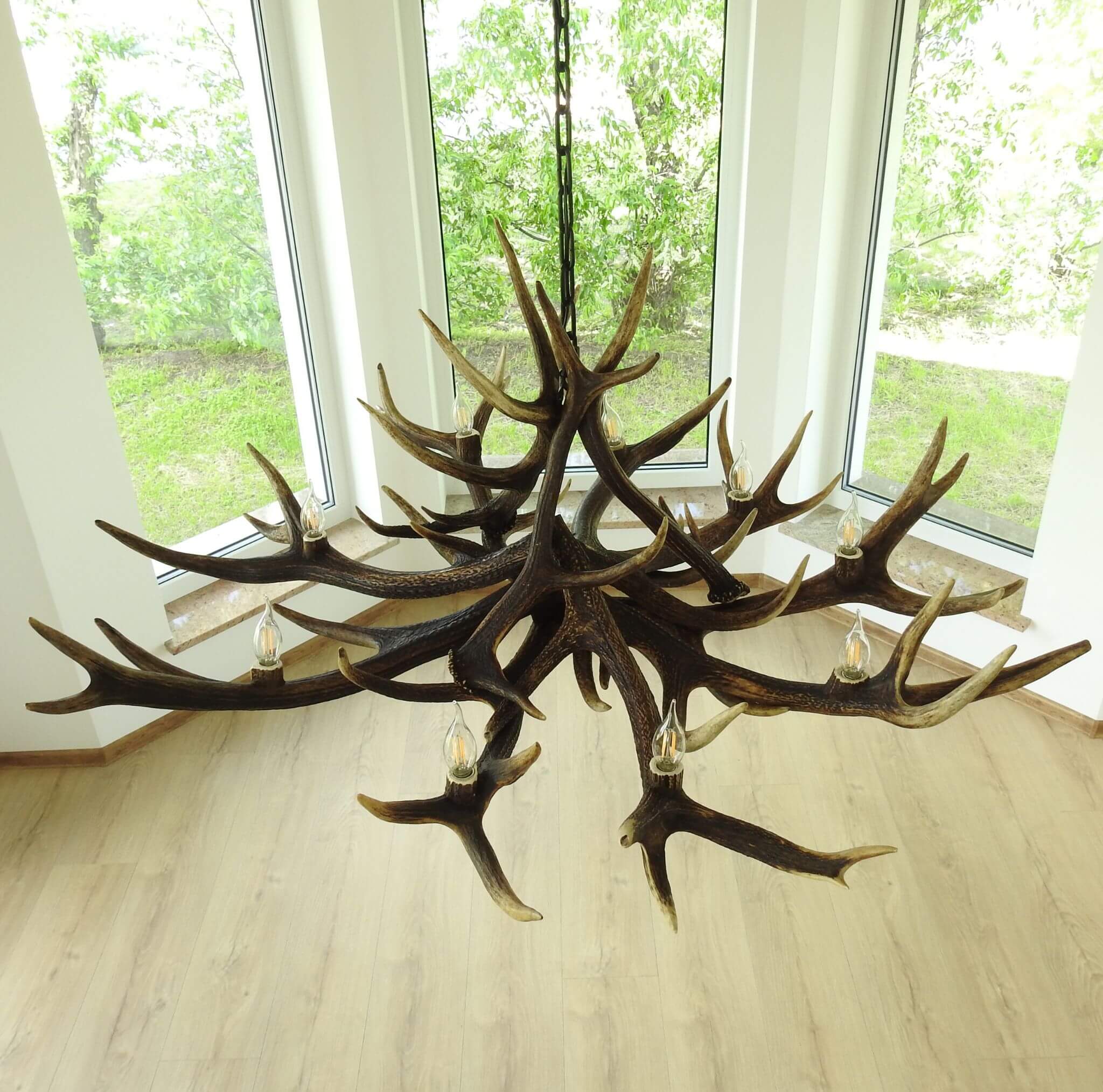 Antler chandelier in a room with large windows