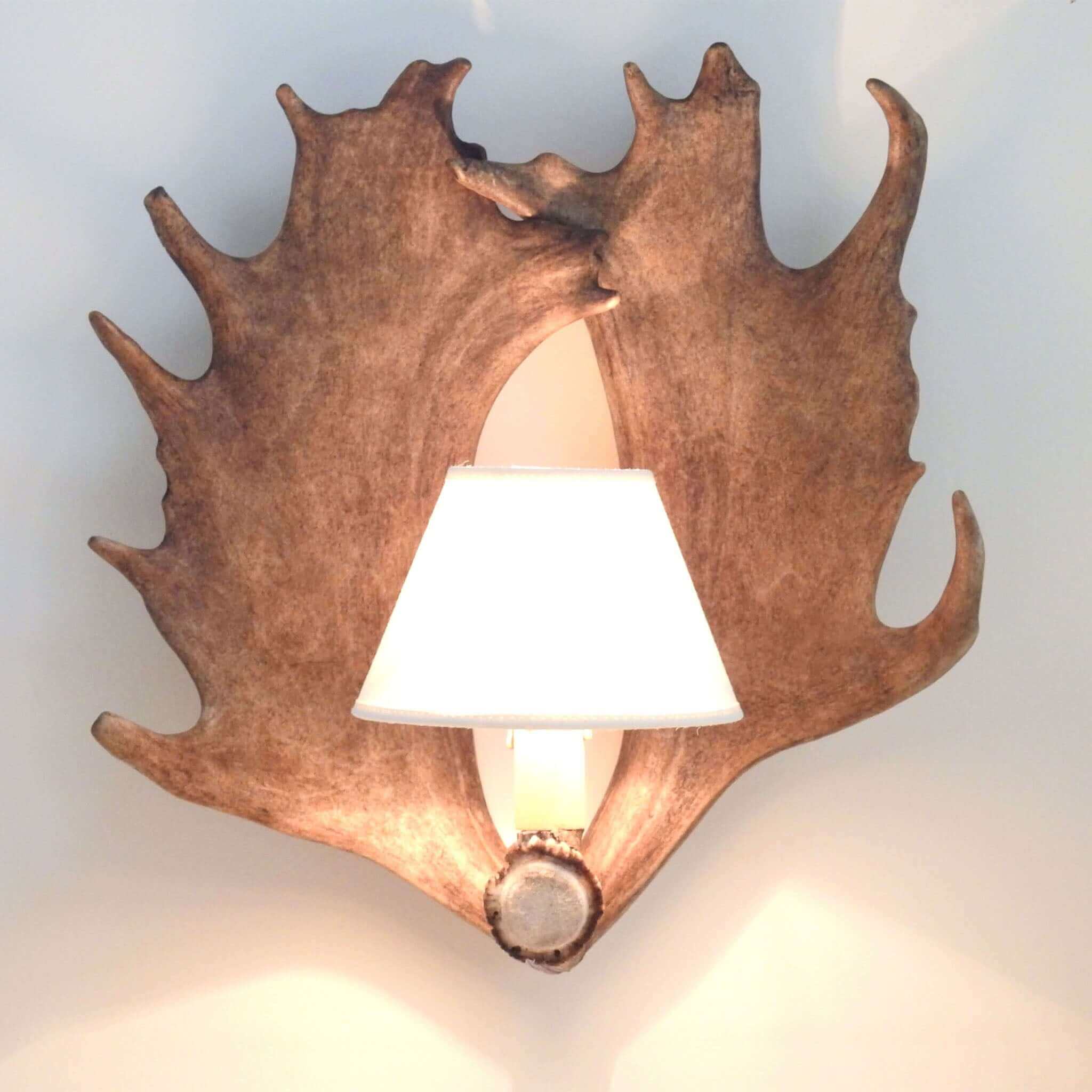 Real, fallow deer antler sconce with shade.