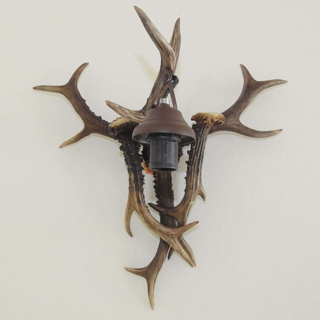 Real, small antler wall chandelier.