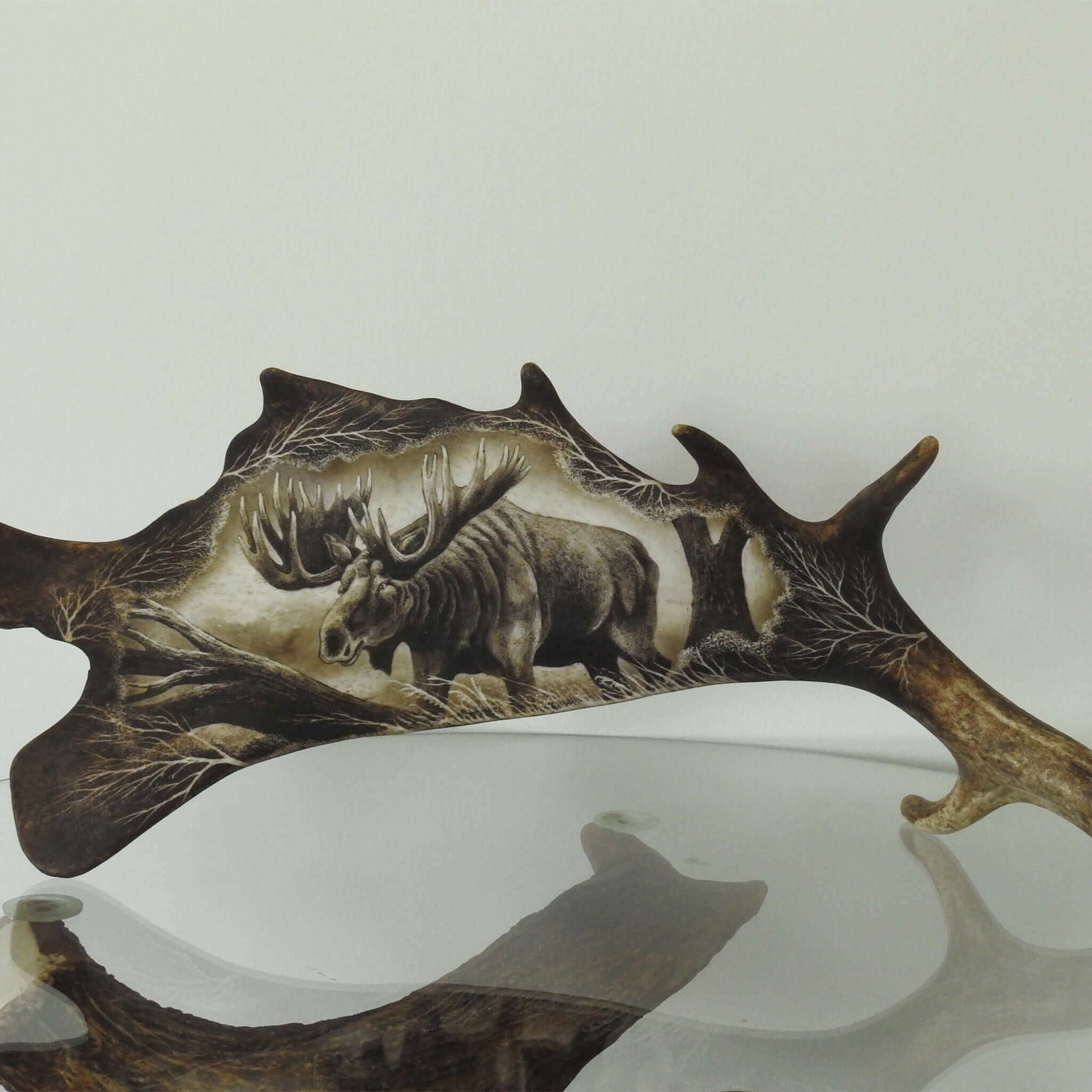 13 antler products