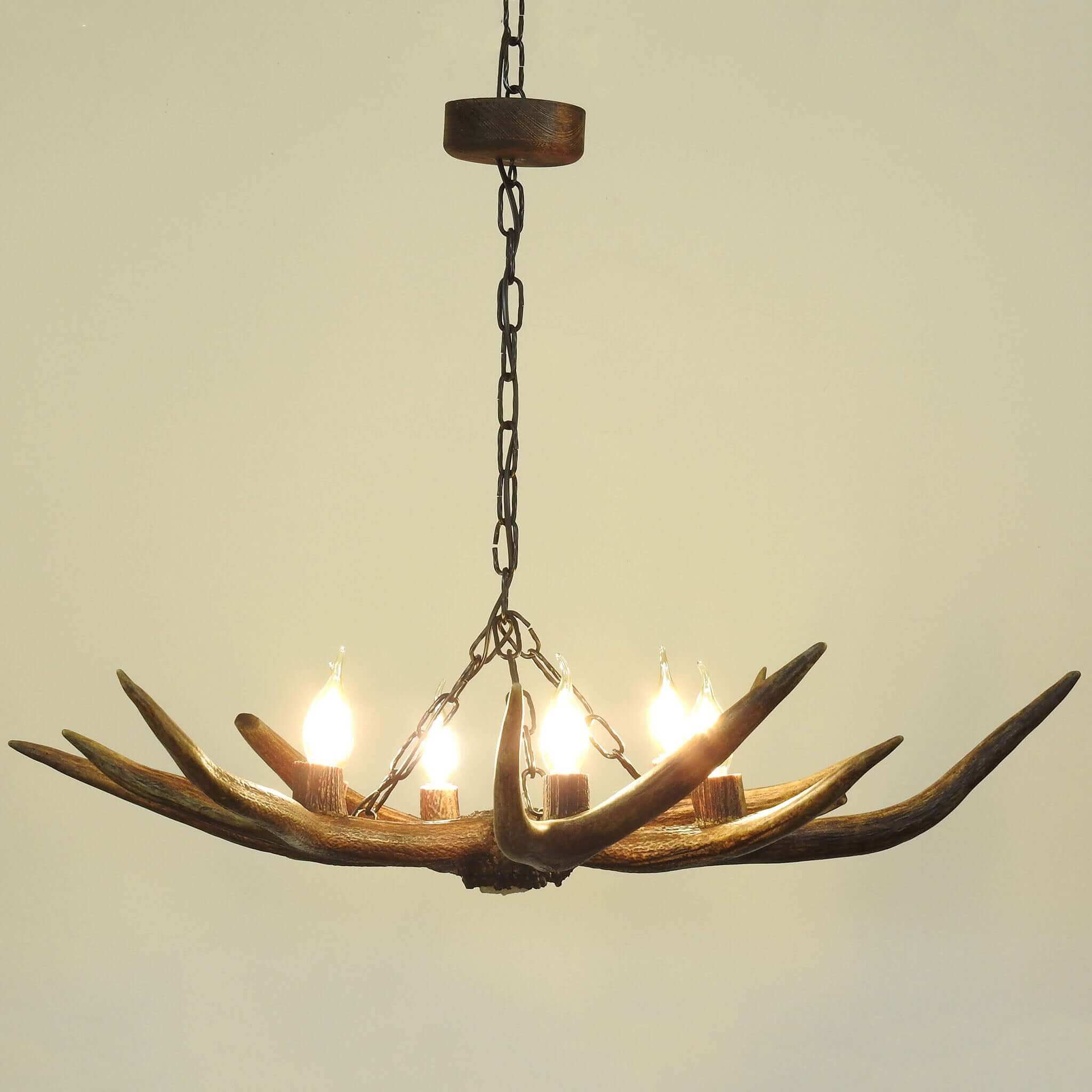 Real antler chandelier hanging on chain.