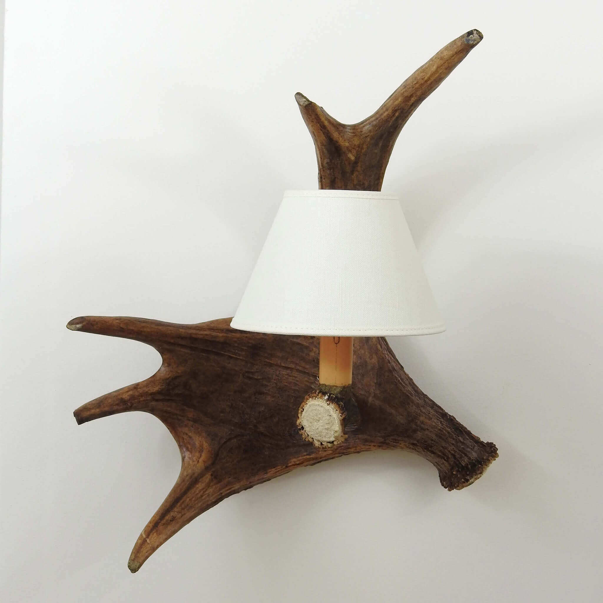 Real antler light with white shade.