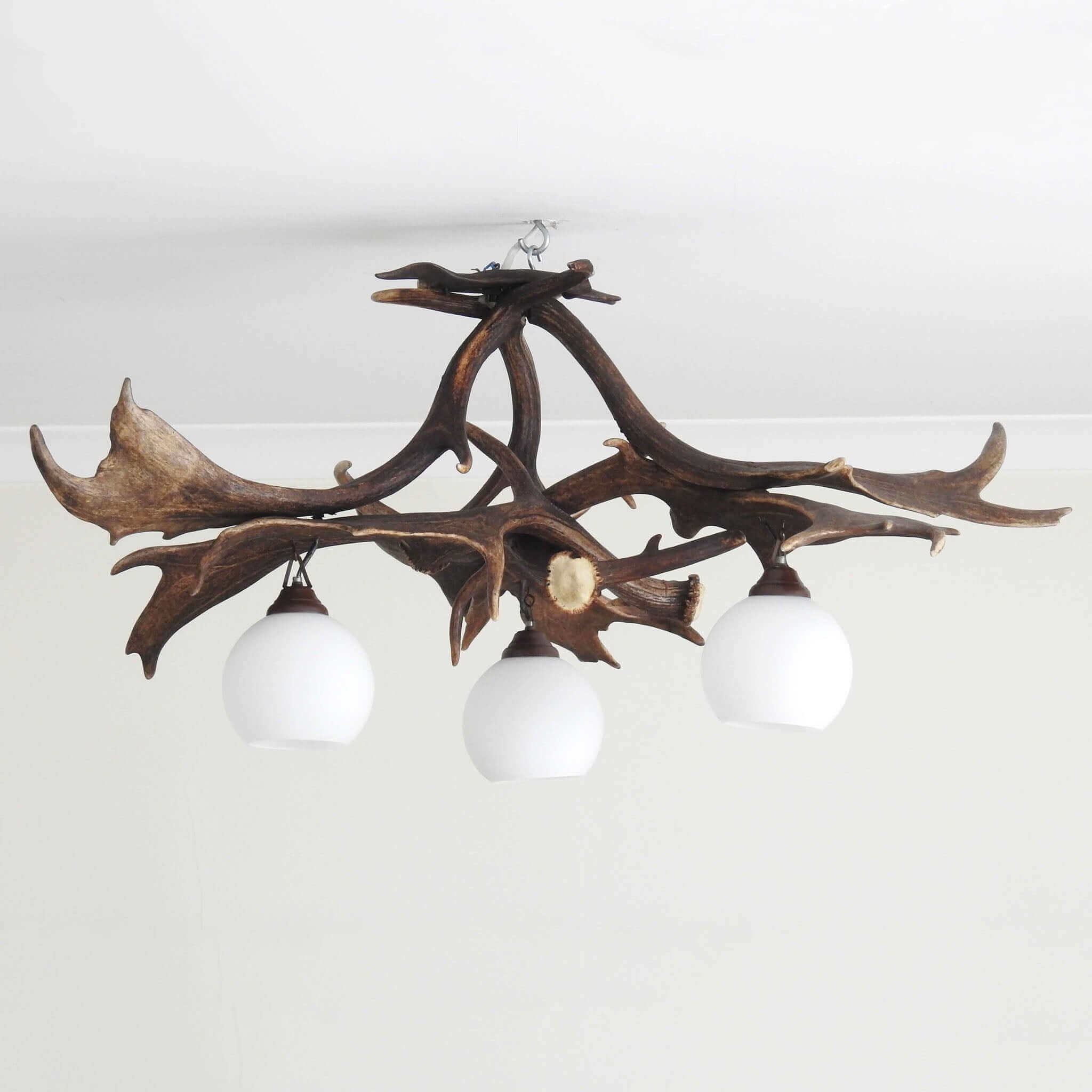 Rustic style antler chandelier made of real fallow deer antlers.