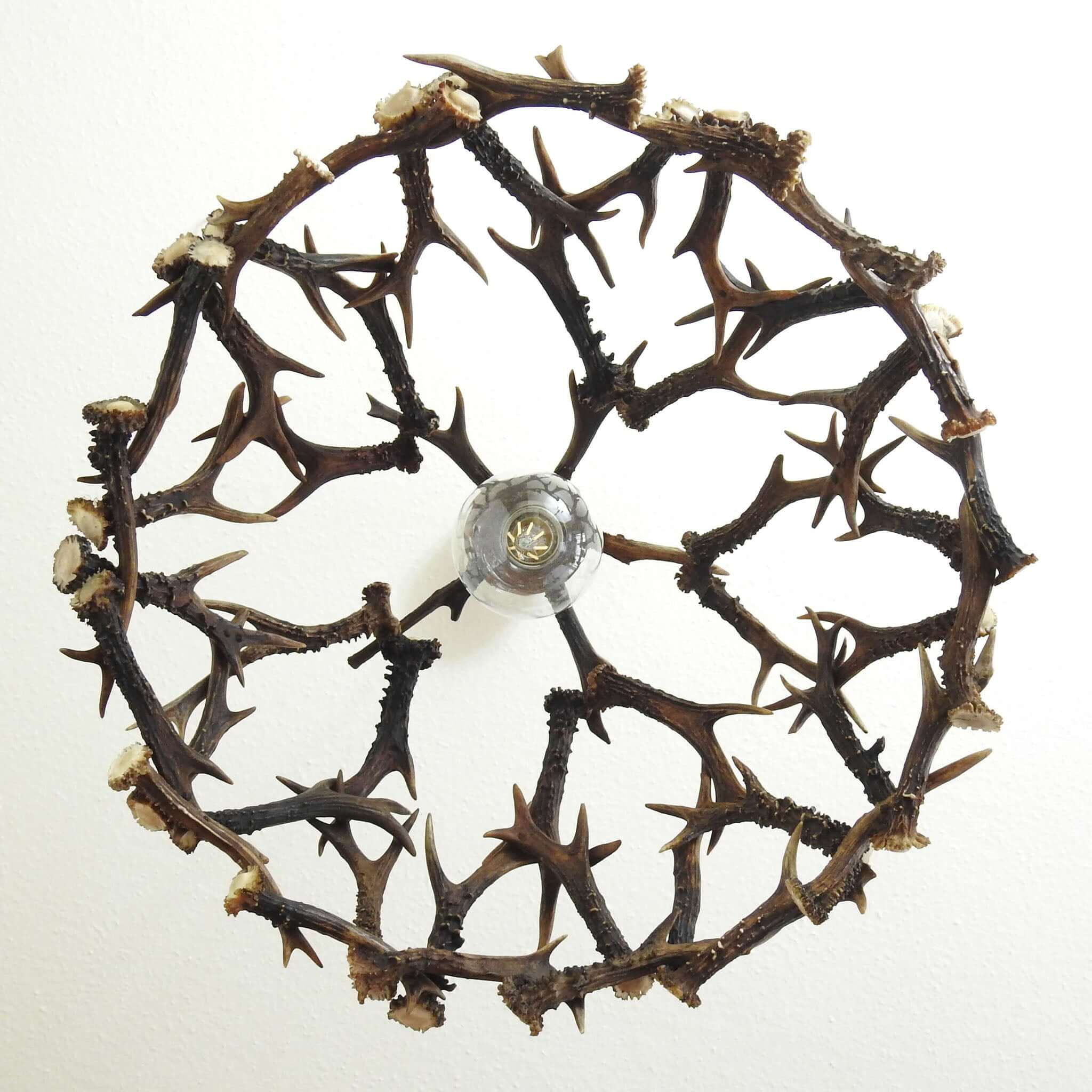 Small antler chandelier, view from the bottom.