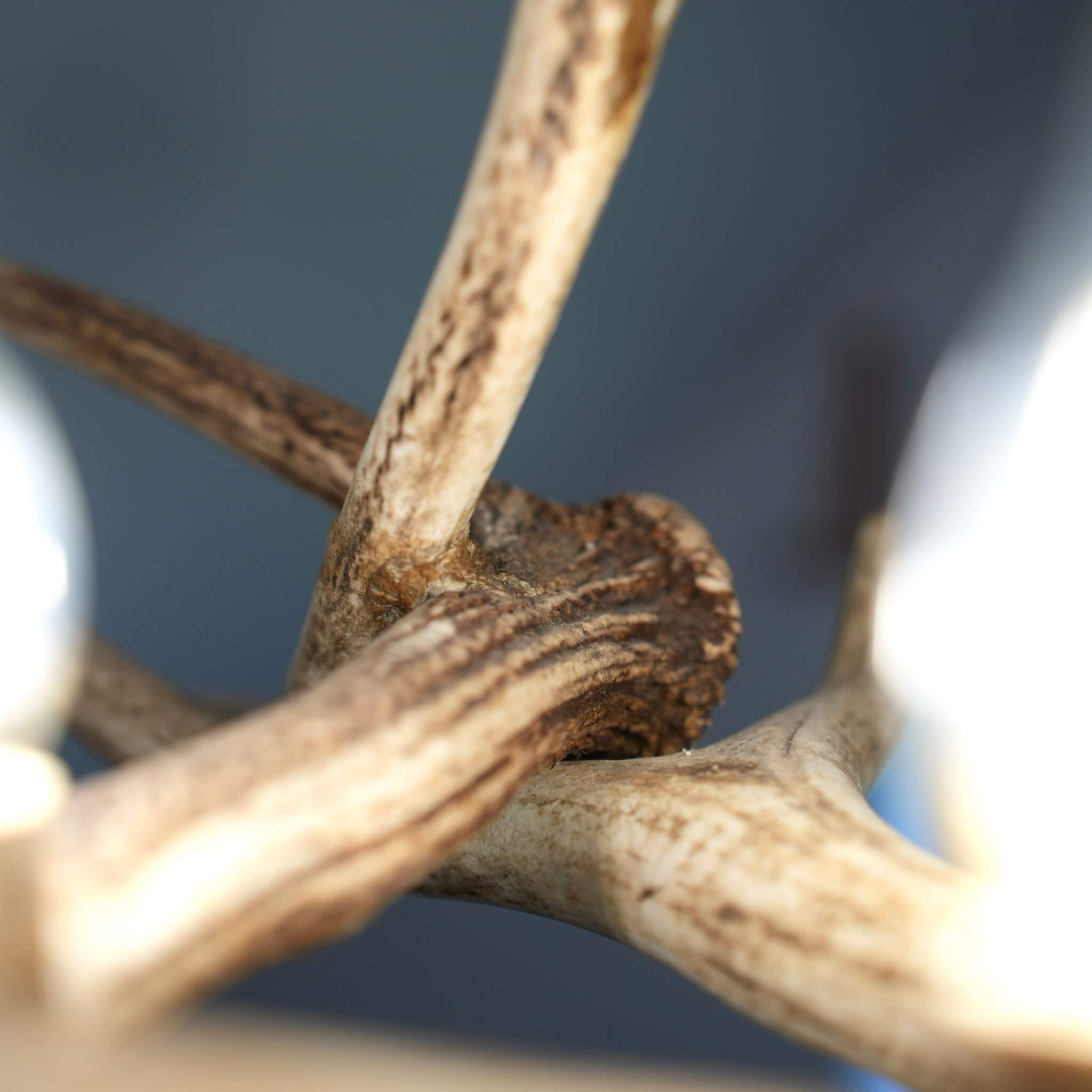 Details of white, modern antler chandelier.