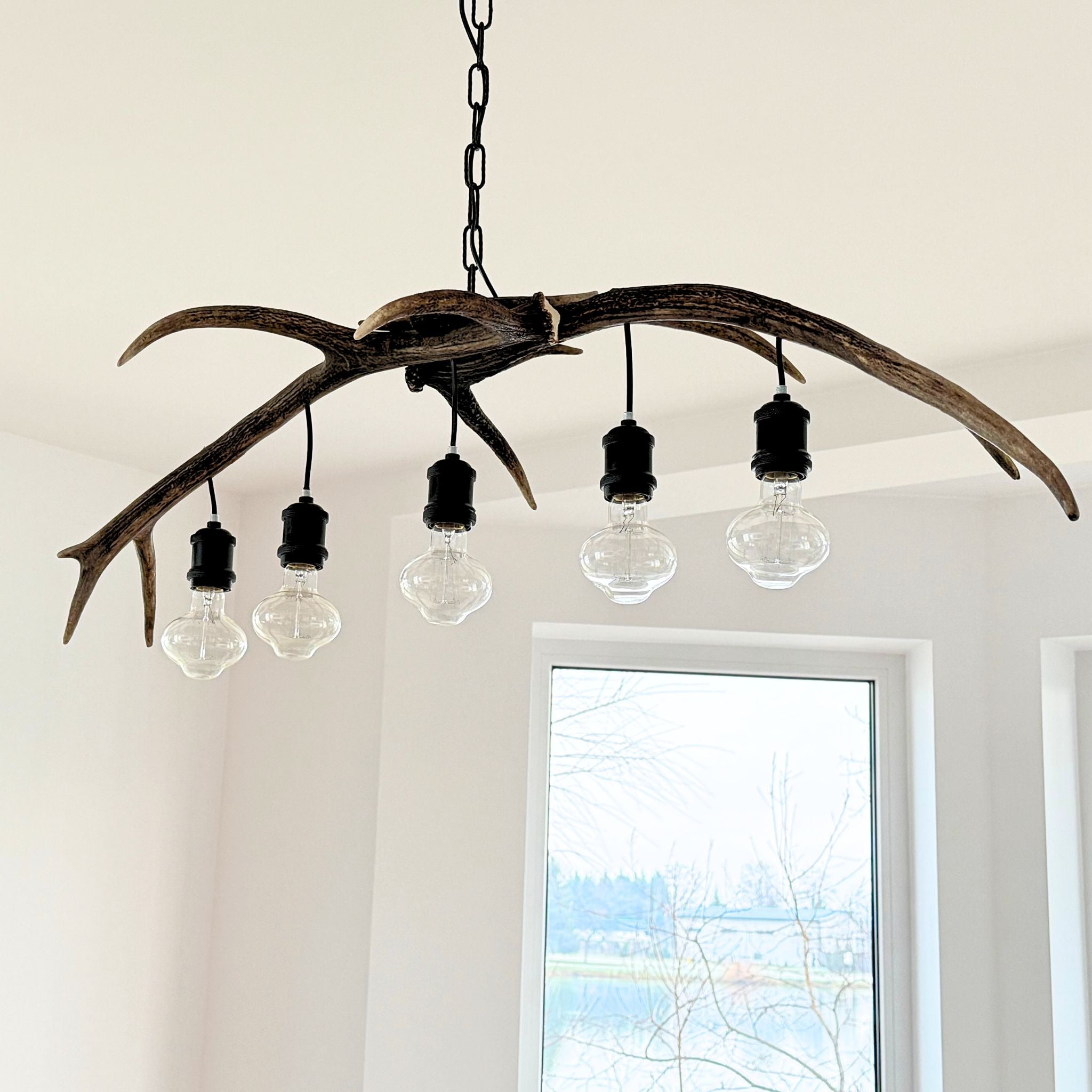 A rustic chandelier light fixture made from a natural antler branch with five clear glass bulb shades and black metal hardware, hanging in a bright room with a window.
