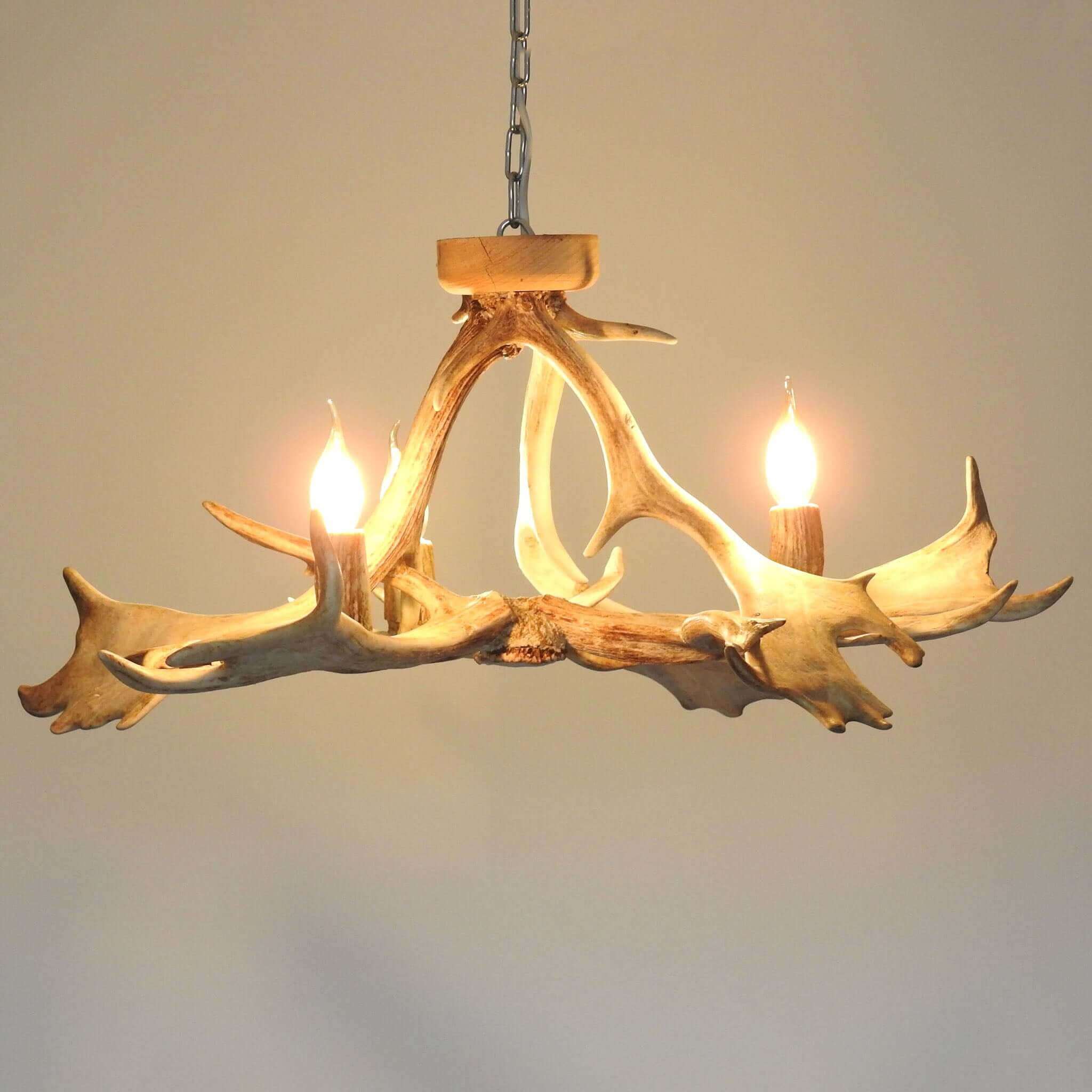 moose antler chandelier